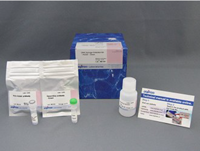 Nucleolus Bright Red试剂货号：N512