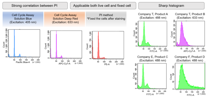Cell Cycle Assay Solution Deep Red试剂货号：C548