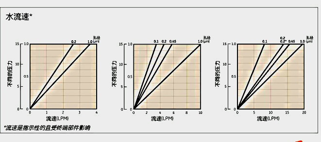 英国Whatman6710-7502Polycap TF囊式过滤器POLYCAP 75 0.2 PTFE 1/PK B/B