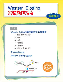 Western BLoT Blocking Buffer (Protein Free)