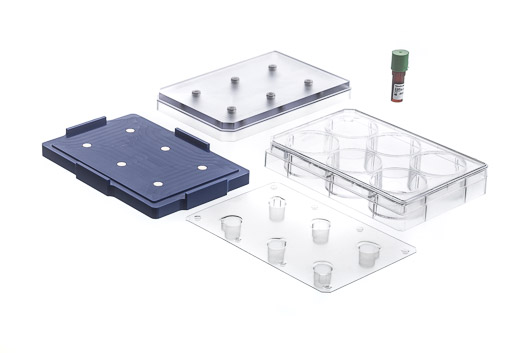 6孔生物组装套件, 透明,                                                              纳米微粒 600 µL, 悬浮磁力架, 聚集磁力架, 6孔微孔板,                                                        细胞排斥表面                                                               货号: 657840