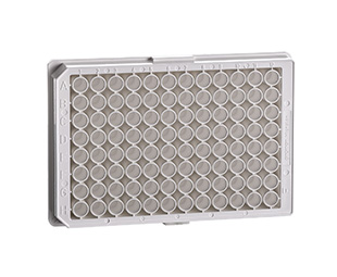 链霉亲和素包被微孔板，C型底                                   货号: 655995