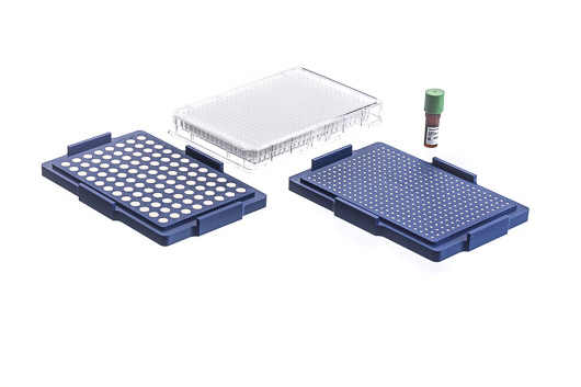 384孔生物打印试剂盒,透明,包含磁珠NANOSHUTTLE 600ul, 成球磁力架,定位磁力架,细胞排斥表面384孔透明微孔板 货号: 781840