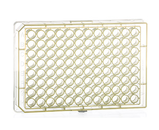 96孔聚丙烯微孔板，V底，黄                                   货号: 651206