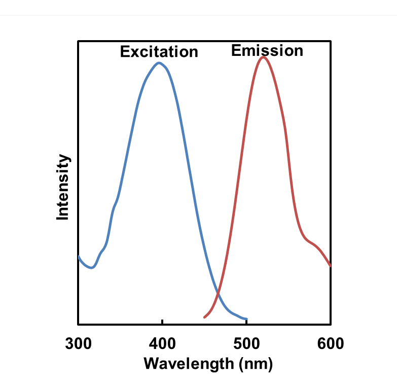 线粒体自噬—Mitophagy Detection Kit货号：MD01