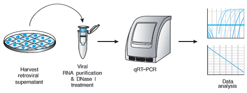 慢病毒滴度测定 qRT-PCR
