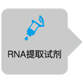 TaKaRa One Step RNA PCR Kit (AMV)