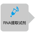 TaKaRa RNA LA PCR&trade; Kit (AMV) Ver.1.1