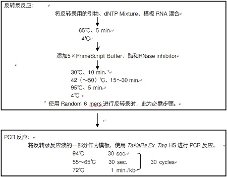 PrimeScript&trade; RT-PCR Kit