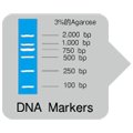 MightyAmp&trade; Genotyping Kit