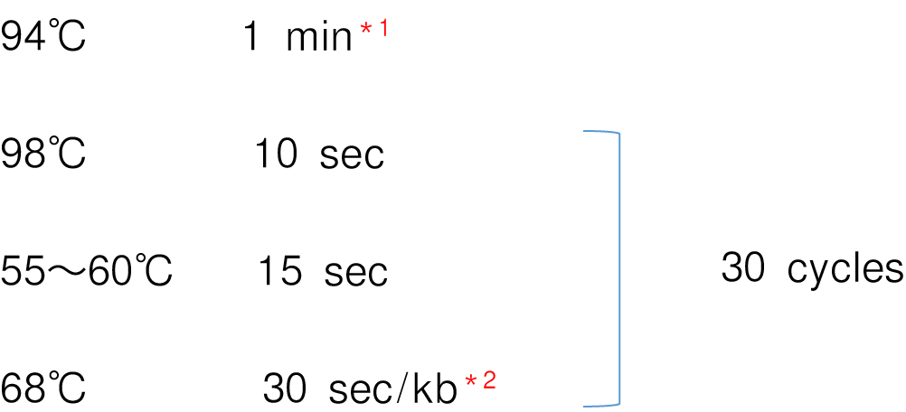 TaKaRa Ex Premier&trade; DNA Polymerase