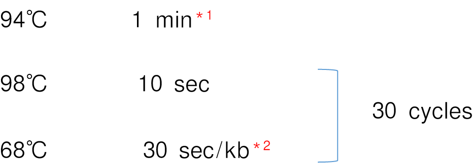 TaKaRa Ex Premier&trade; DNA Polymerase