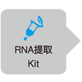 External Standard Kit (λpolyA) for qPCR