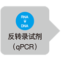 Probe qPCR Mix (or with UNG)