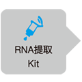 One Step PrimeScript&trade; III RT-qPCR Mix (or with UNG)