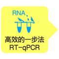 One Step TB  Green&reg; PrimeScript&trade; RT-PCR Kit II (Perfect Real Time)