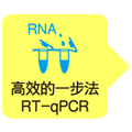 One Step TB  Green&reg; PrimeScript&trade; RT-PCR Kit (Perfect Real Time)