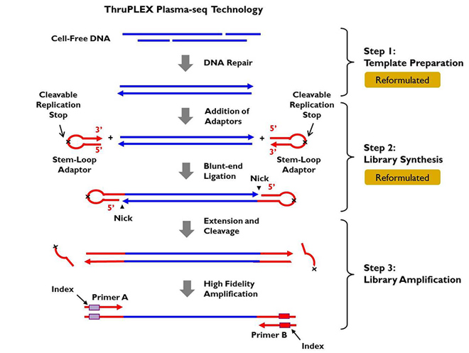 ThruPLEX Plasma-seq Kit