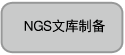 NGS文库定量