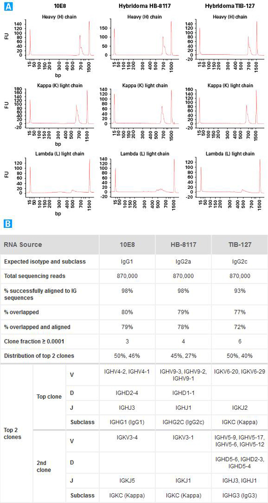 SMARTer Mouse BCR IgG H/K/L Profiling Kit