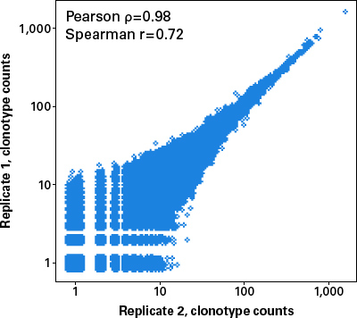 SMARTer Human BCR IgG IgM H/K/L Profiling Kit