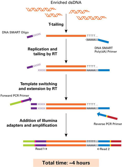 甲基化DNA-Seq