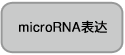 SMARTer smRNA-Seq Kit for Illumina