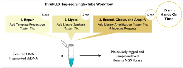 ThruPLEX&reg; Tag-seq Kit