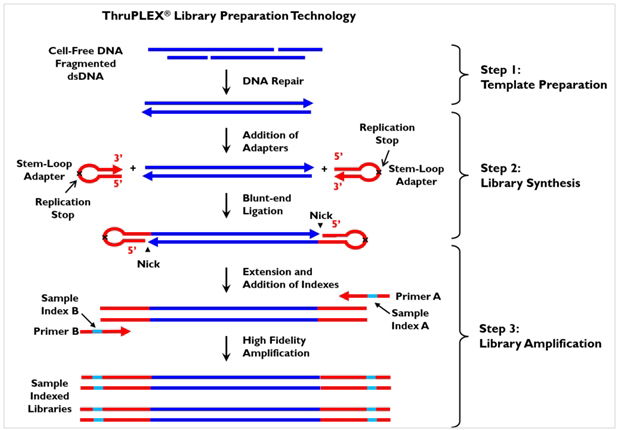 ThruPLEX&reg; Tag-seq Kit