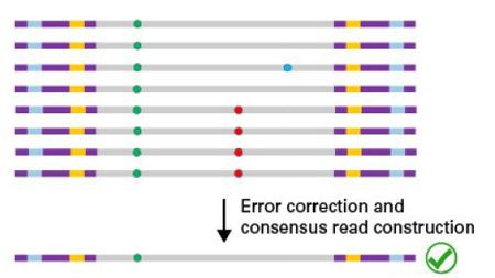 ThruPLEX&reg; Tag-Seq HV & ThruPLEX&reg; Tag-Seq HV PLUS Kit