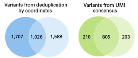 ThruPLEX&reg; Tag-Seq HV & ThruPLEX&reg; Tag-Seq HV PLUS Kit