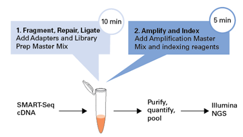 SMART-Seq v4 Kit & SMART-Seq v4 PLUS Kit