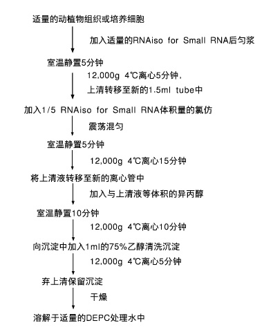 RNAiso for Small RNA