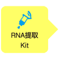 Fruit-mate&trade; for RNA Purification