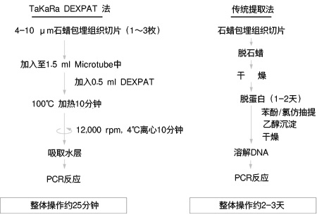 TaKaRa DEXPAT™