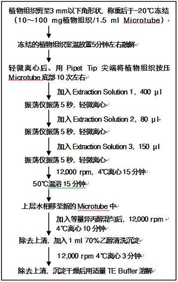 Plant DNA Isolation Reagent