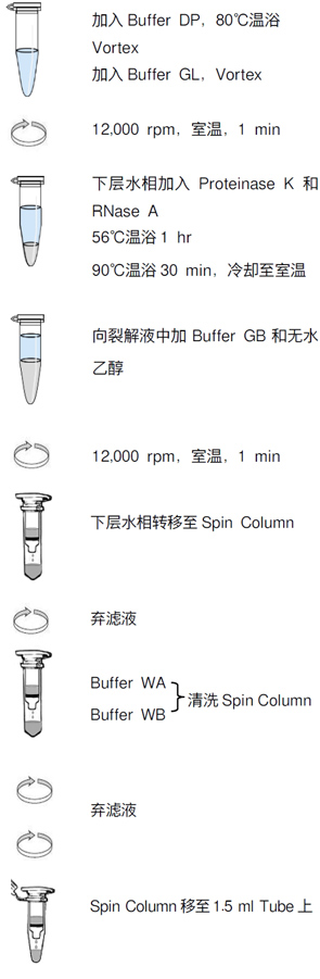 TaKaRa MiniBEST FFPE DNA Extraction Kit