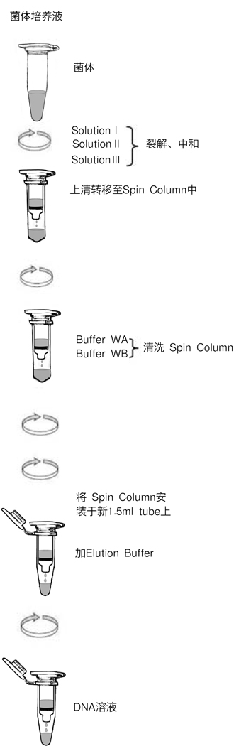 TaKaRa MiniBEST Plasmid Purification Kit Ver.4.0