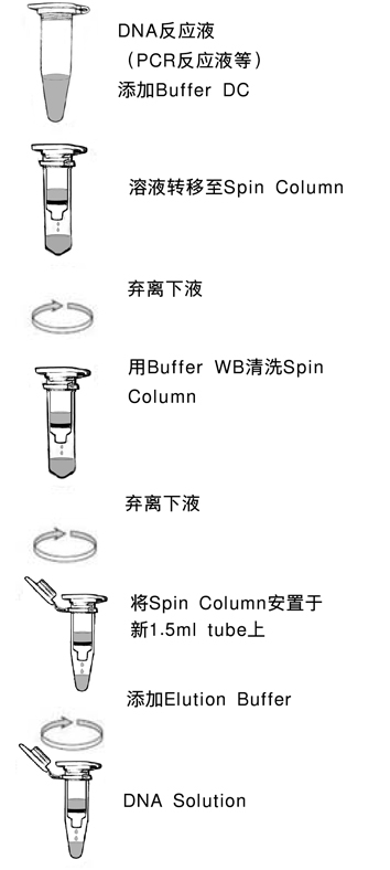 TaKaRa MiniBEST DNA Fragment Purification Kit Ver.4.0