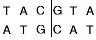 SnaB I
