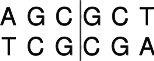 Aor51H I (Eco47 III)