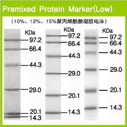 Premixed Protein Marker (Low)