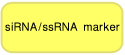 14-30 ssRNA Ladder Marker