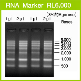 RNA Marker RL6,000