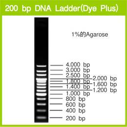 200 bp DNA Ladder (Dye Plus)