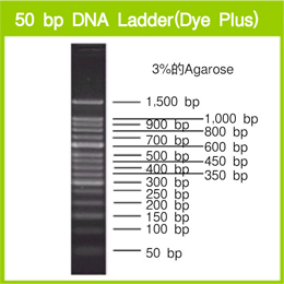 50 bp DNA Ladder (Dye Plus)