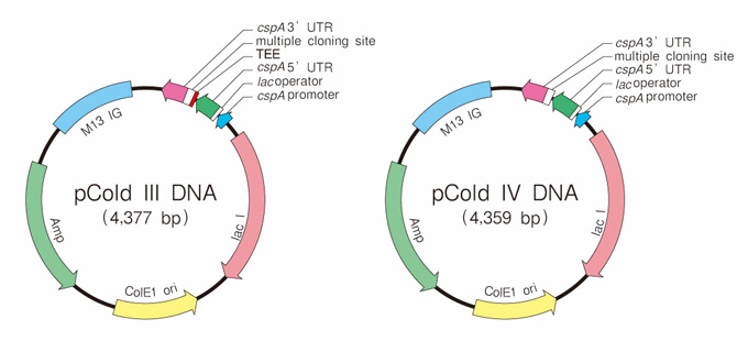 pCold&trade; Vector Set