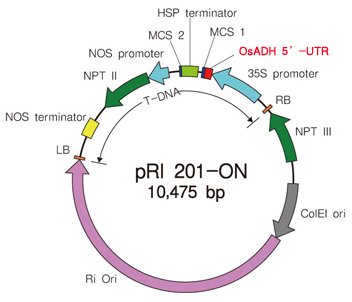 pRI 201-ON DNA