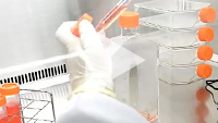 AAVpro® Purification Kit (AAV2)