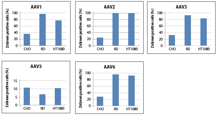 AAVpro® Purification Kit (All Serotypes)